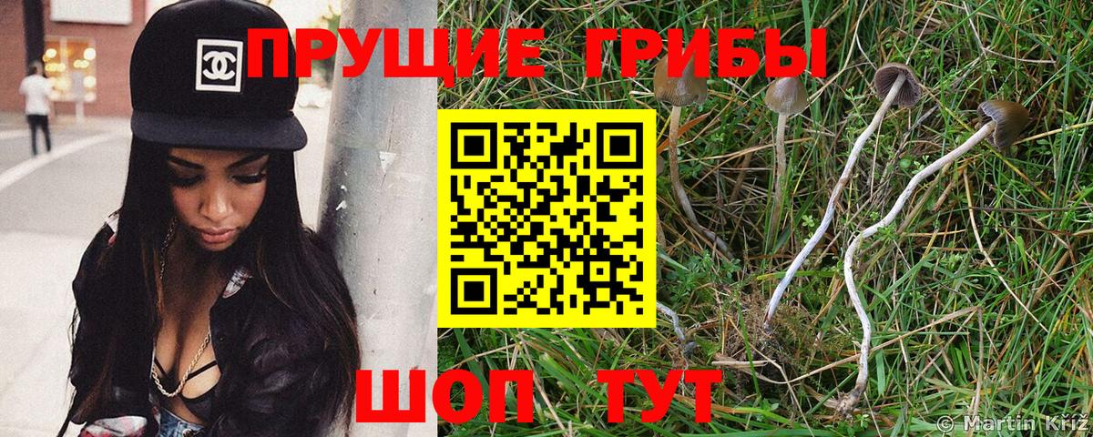 Псилоцибиновые грибы Magic Shrooms  Вход с VPN  Соликамск 